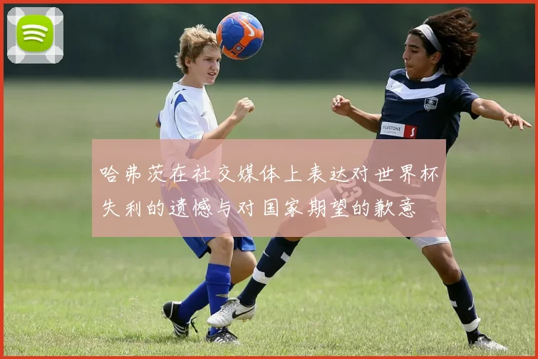 哈弗茨在社交媒体上表达对世界杯失利的遗憾与对国家期望的歉意